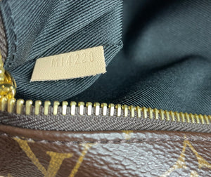 Louis Vuitton bumbag in monogram
