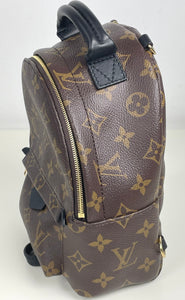 Louis Vuitton palm springs mini backpack in monogram canvas