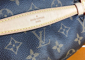 Louis Vuitton bumbag monogram