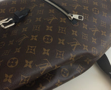 Load image into Gallery viewer, Louis Vuitton palk macassar backpack