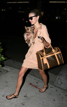 Load image into Gallery viewer, Louis Vuitton pet/ dog carrier 40 monogram