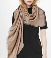 Load image into Gallery viewer, Louis Vuitton so shine monogram shawl